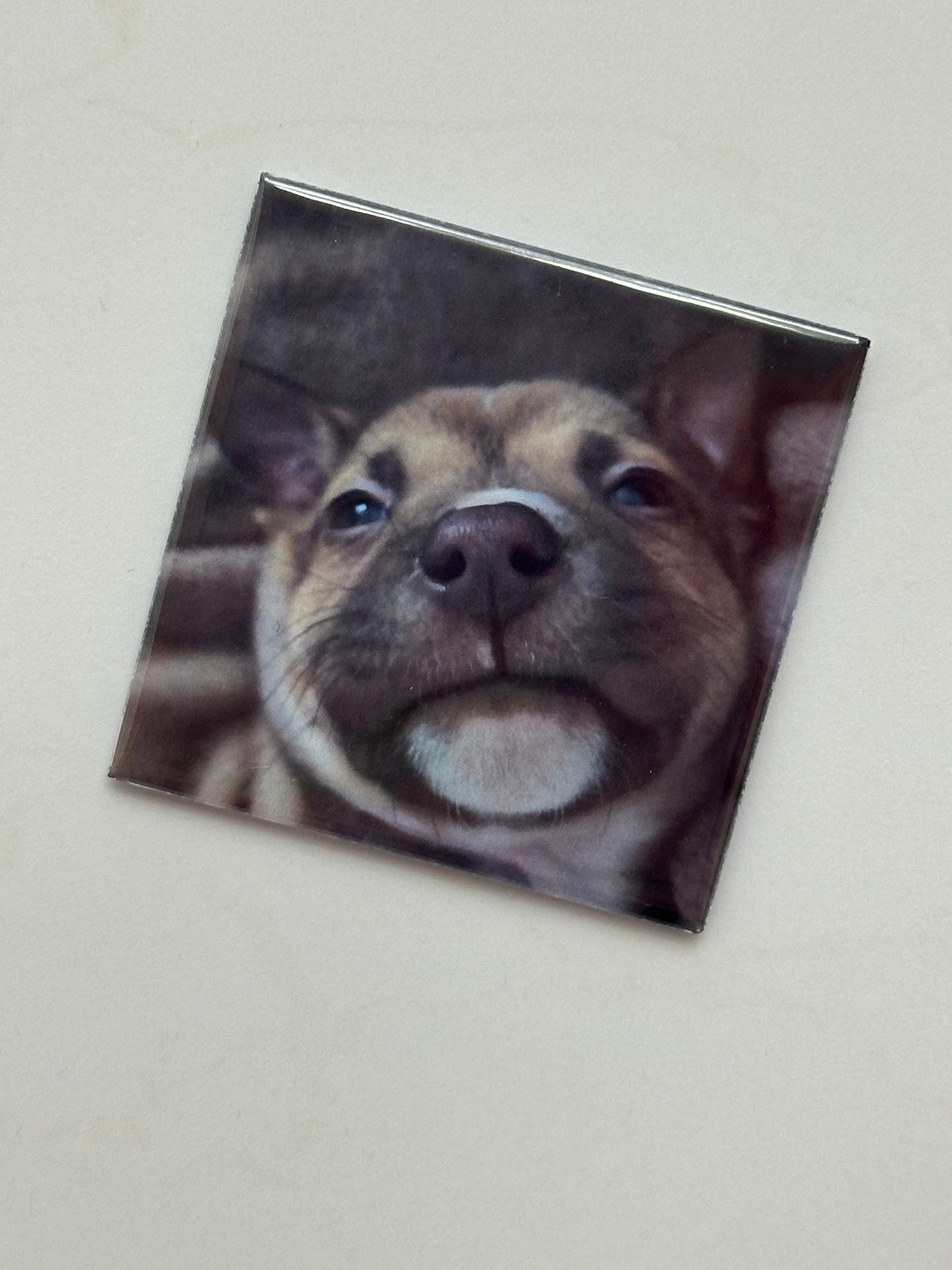 Custom Photo Magnet – Event Pickup Only