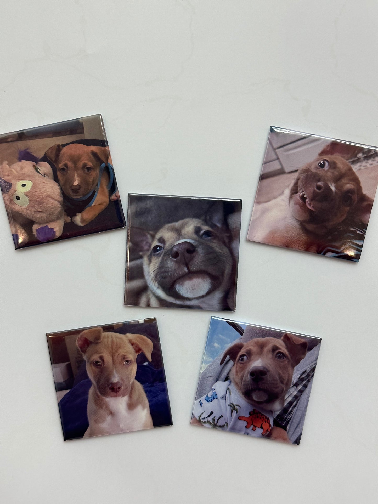 Custom Photo Magnet – Event Pickup Only